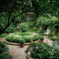 green garden 