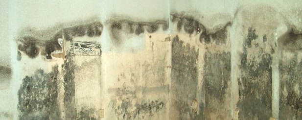 molding wall