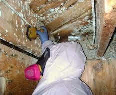 man removing mold on wall